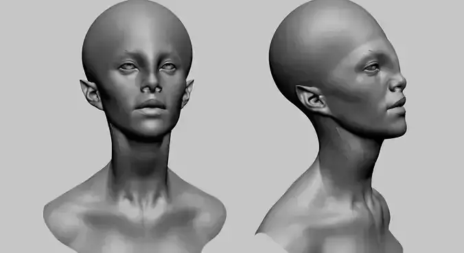 Fantasy Female Head E1