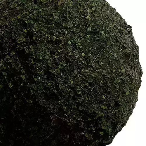 Grass Seamless Texture 2K - EXR 5 - JPG 5 Texture