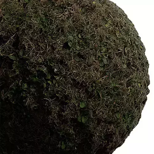 Grass Seamless Texture 2K - EXR 5 - JPG 5 Texture