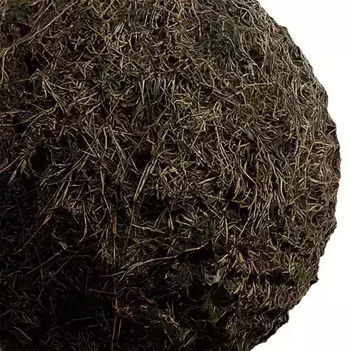 Grass Seamless Texture 2K - EXR 5 - JPG 5 Texture