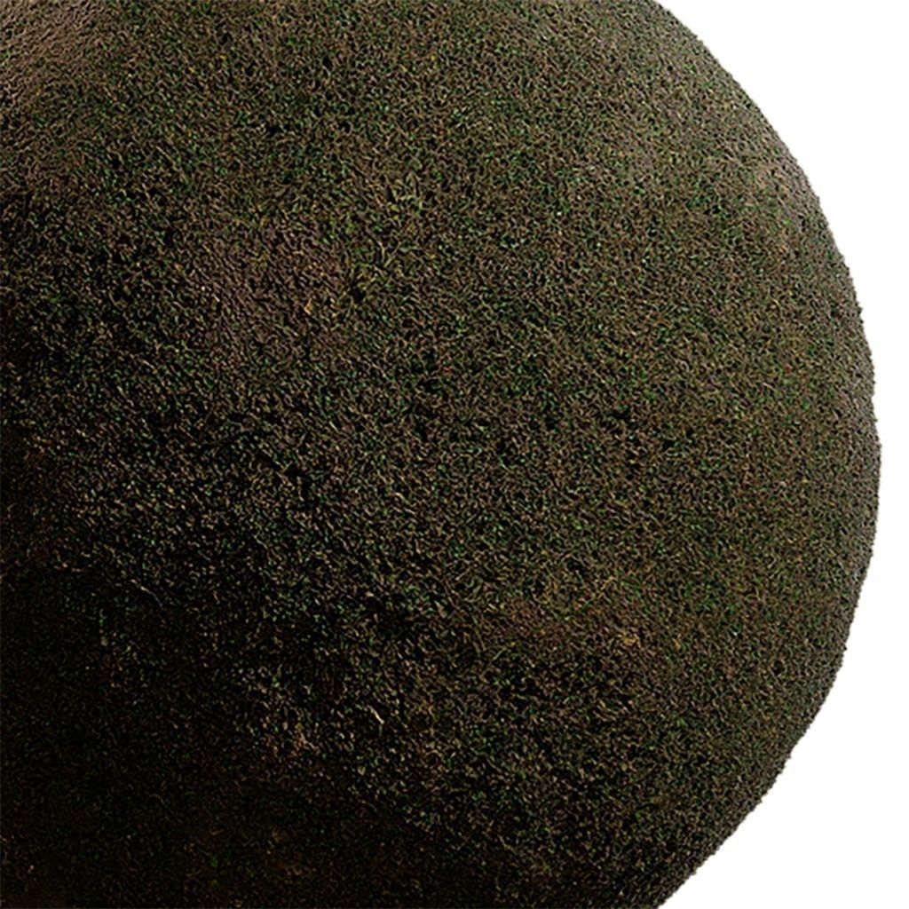 Grass Seamless Texture 2K - EXR 5 - JPG 5 Texture Texture_1