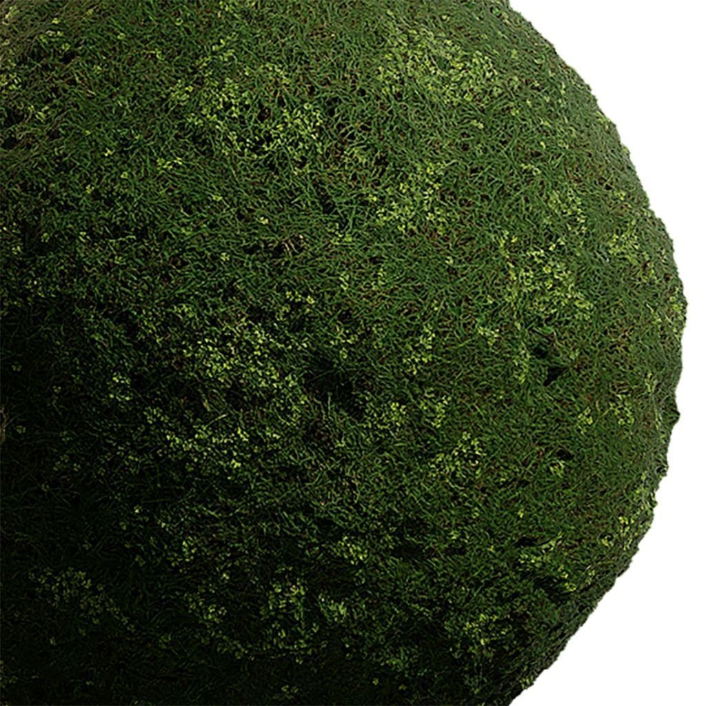 Grass Seamless Texture 2K - EXR 5 - JPG 5 Texture Texture_3
