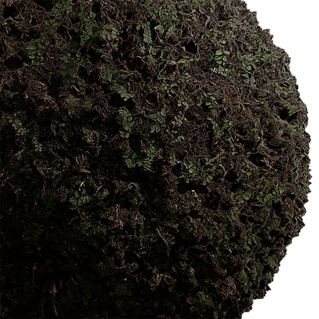 Grass Seamless Texture 2K - EXR 5 - JPG 5 Texture Texture_2