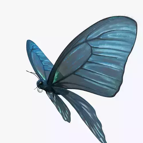 BlueButterflyAnimationC4D 3D model