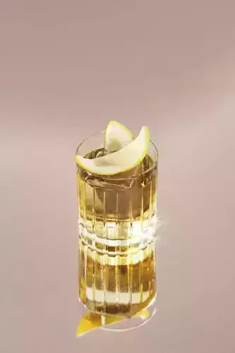 Scotch Sour cocktail 3D model