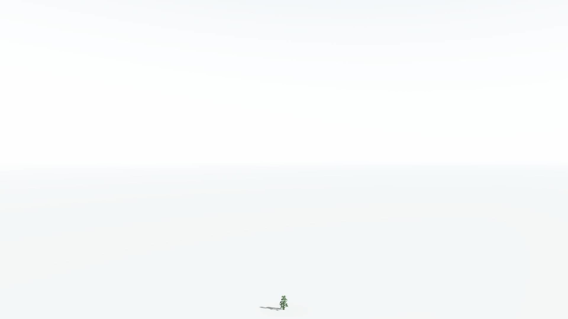 EVERYPlant Kauri 1 --12 Models-- 3D model_20