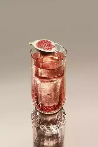 Fig sidecar cocktail 3D model