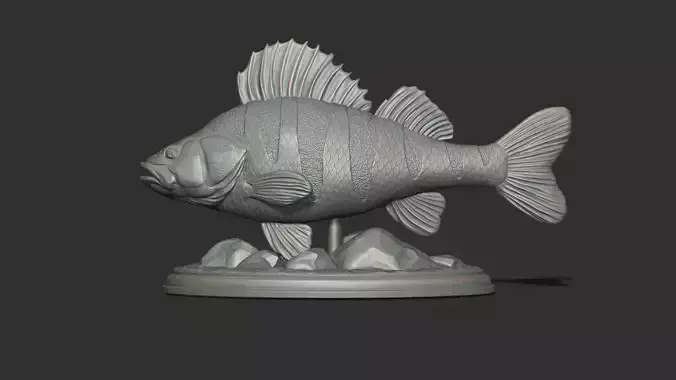 Perch fish on the base 3D print model