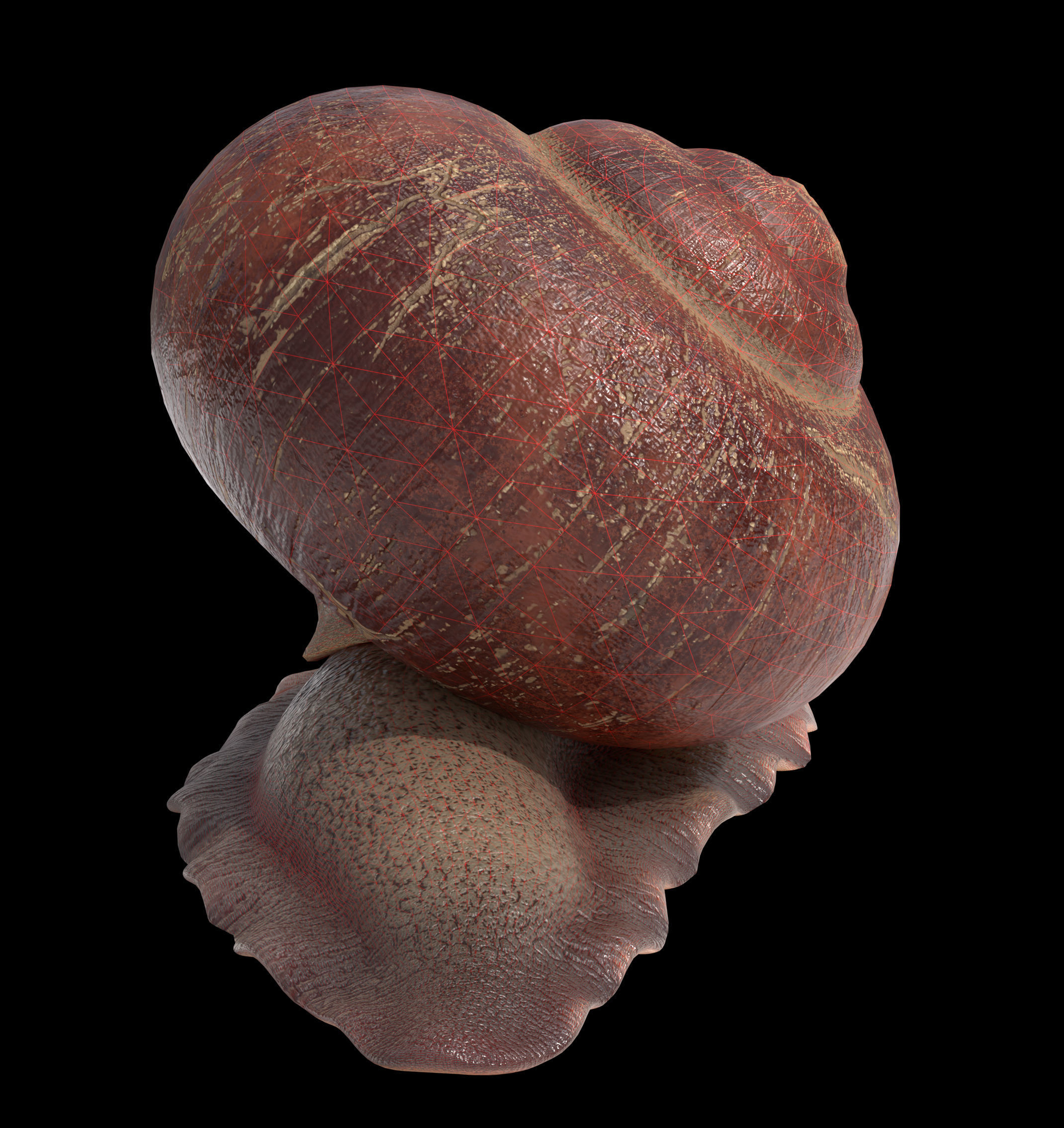 Garden snail Low-poly 3D model_9