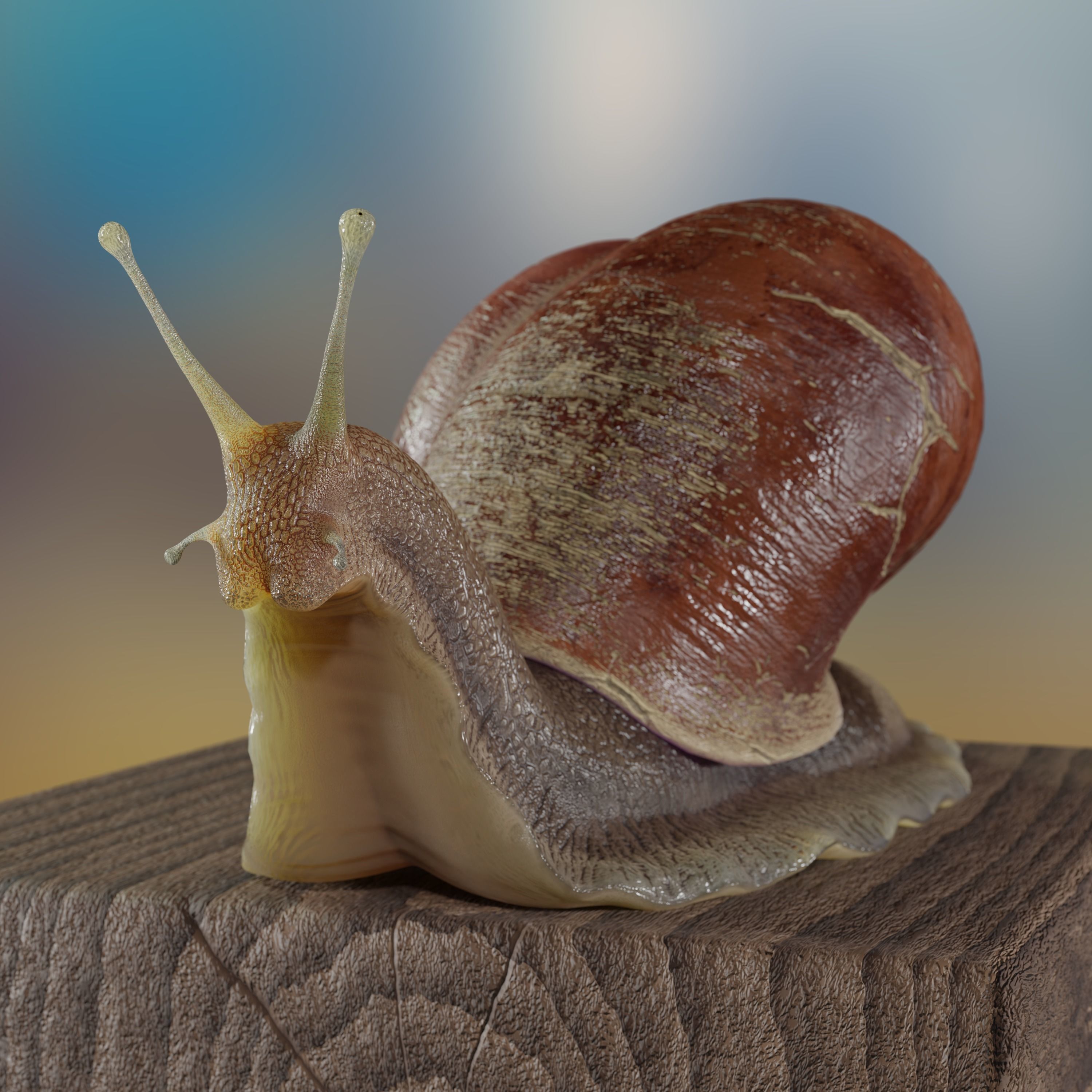 Garden snail Low-poly 3D model_1
