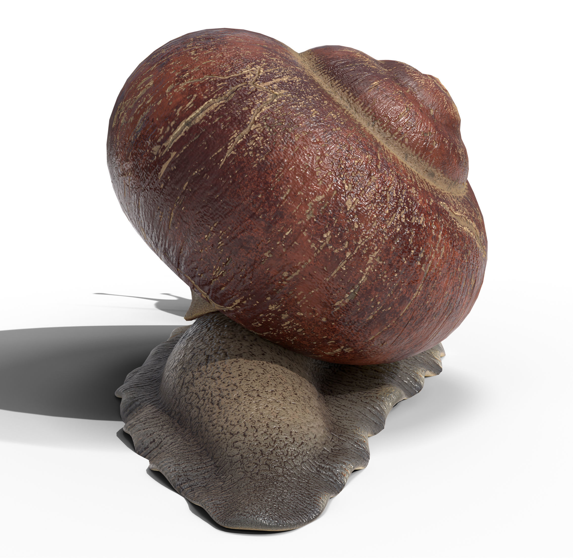 Garden snail Low-poly 3D model_4