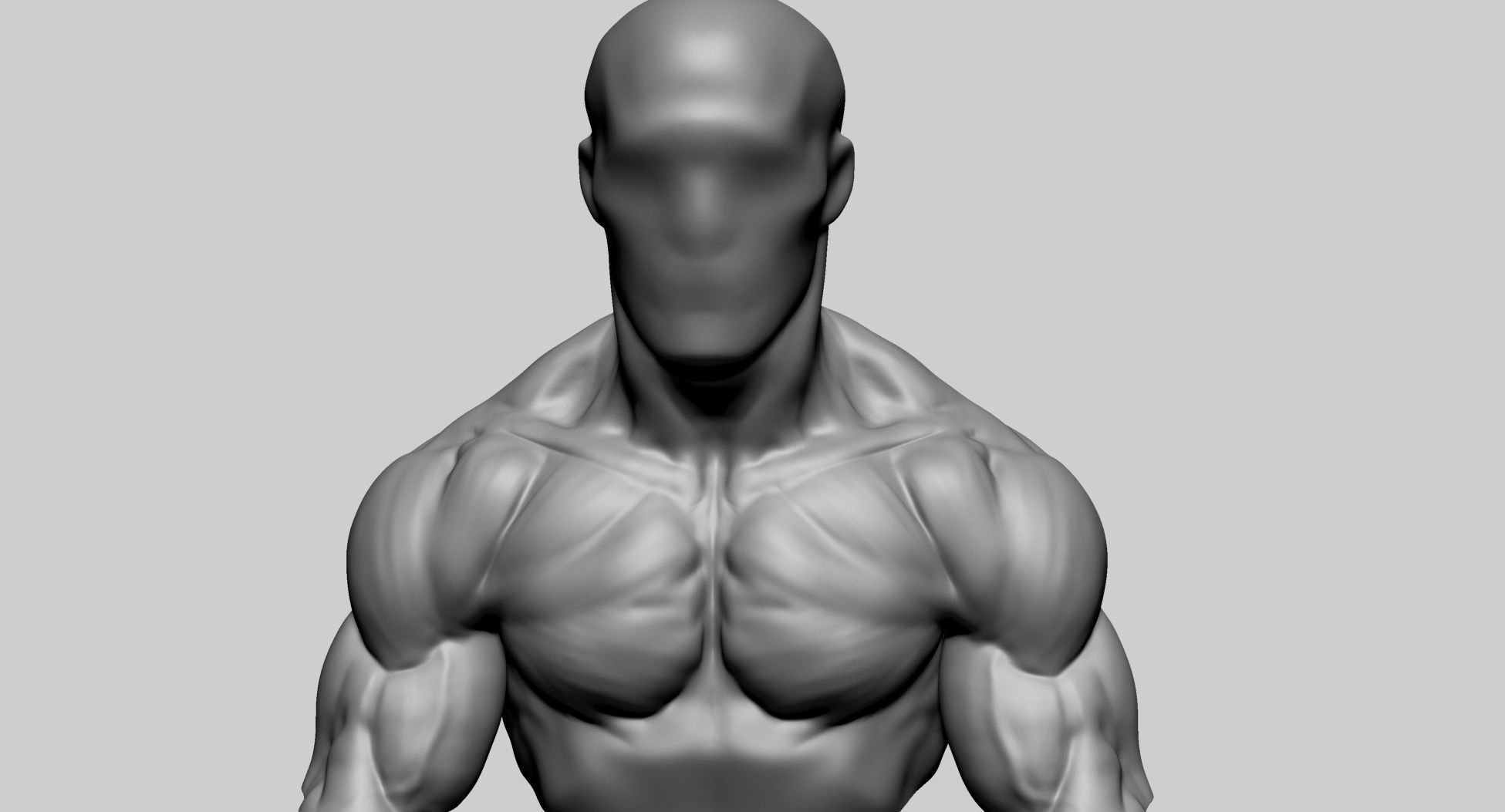 Chest Shoulder A 3D model_5
