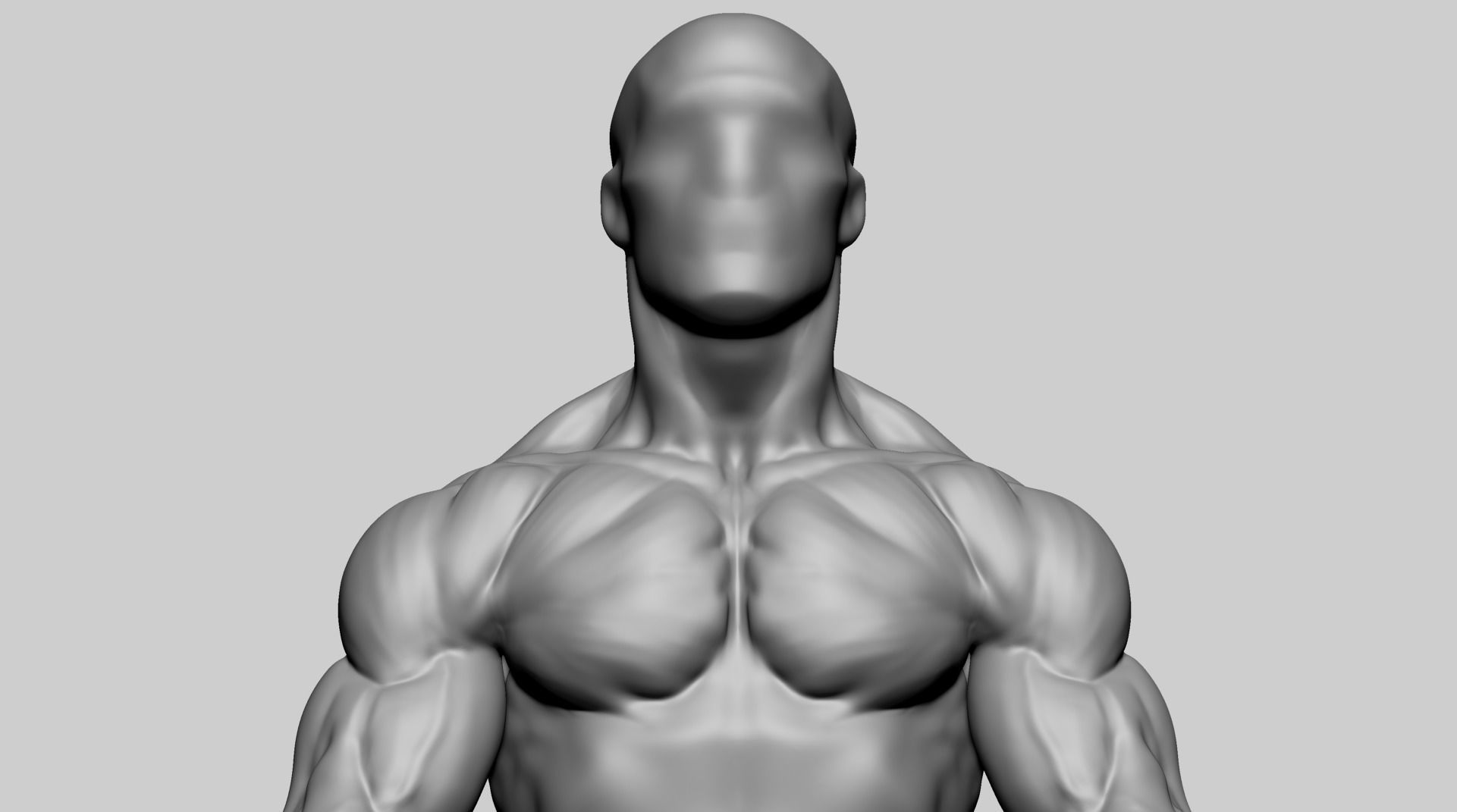 Chest Shoulder A 3D model_8