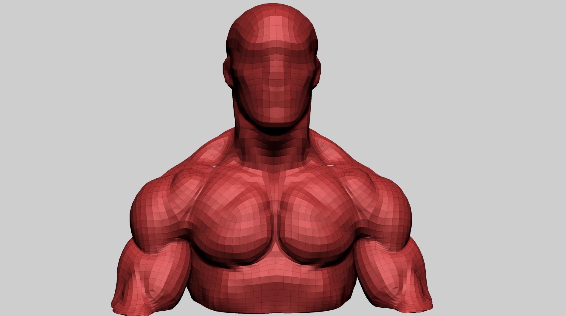 Chest Shoulder A 3D model_7