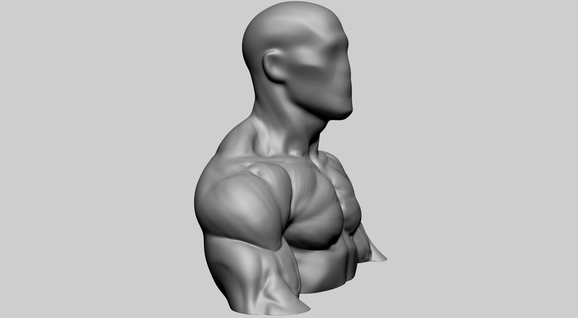 Chest Shoulder A 3D model_2
