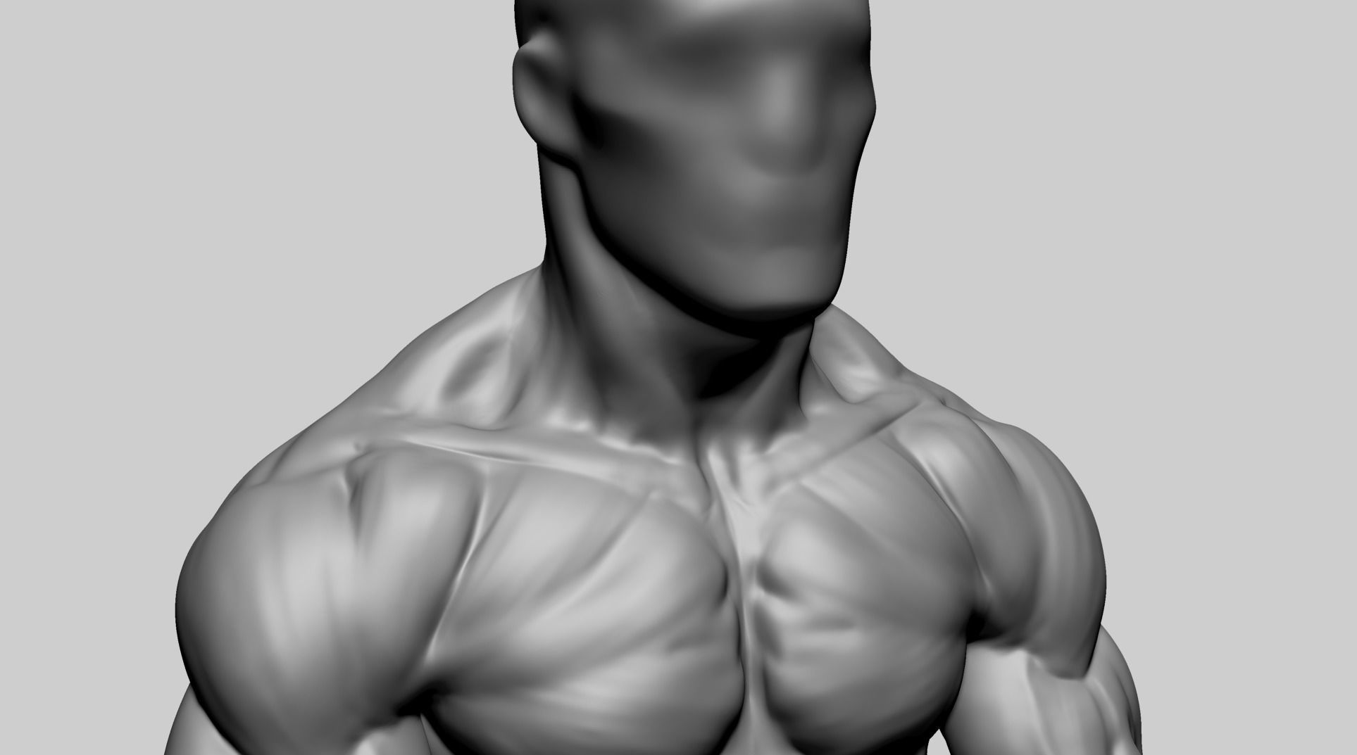 Chest Shoulder A 3D model_6