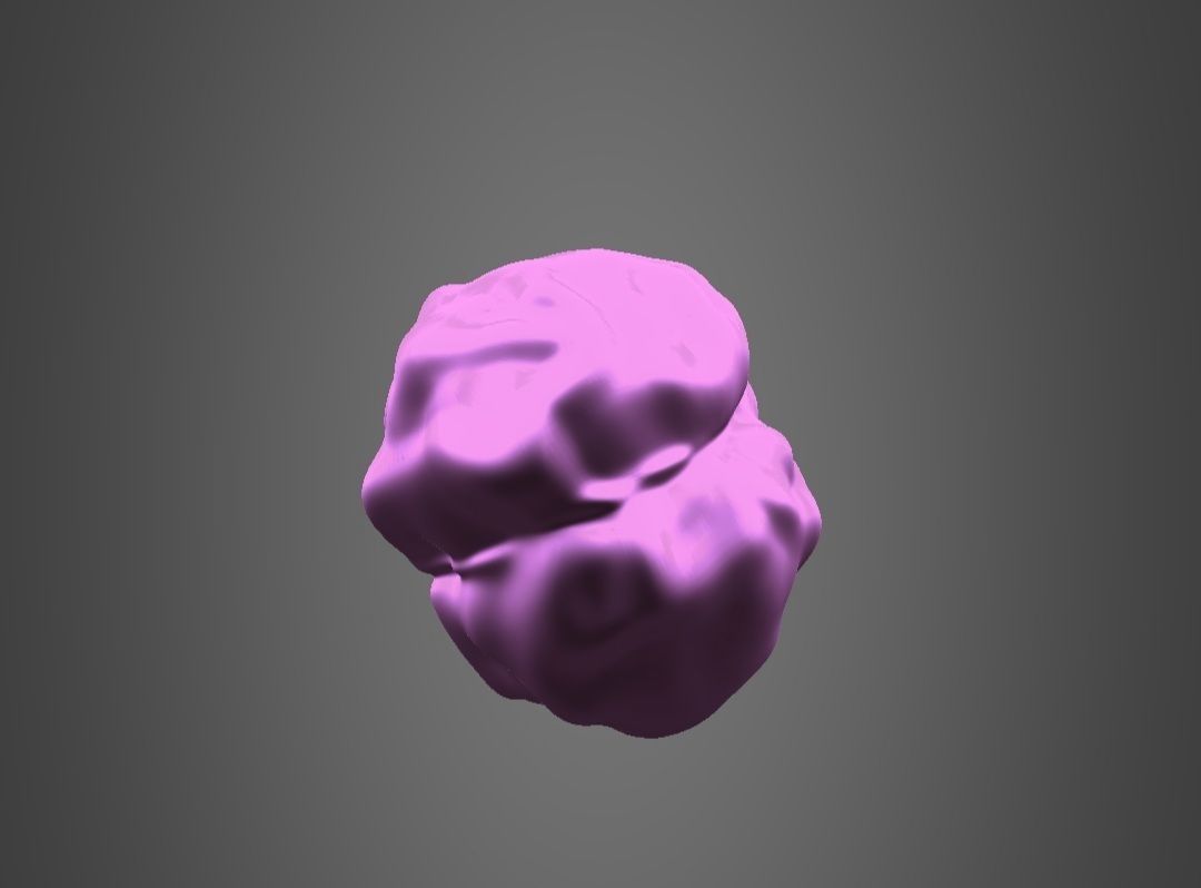 Brain model Low-poly 3D model_5