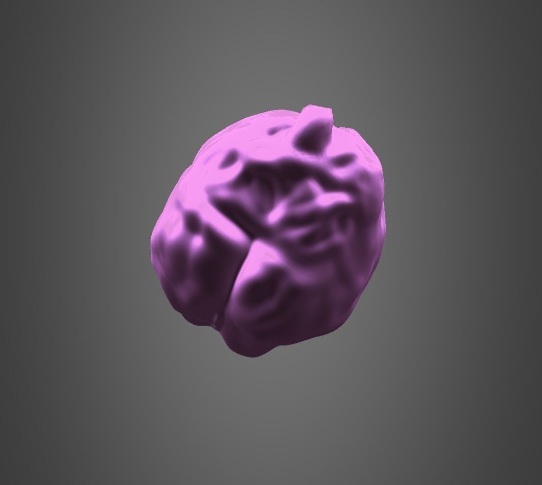 Brain model Low-poly 3D model_3