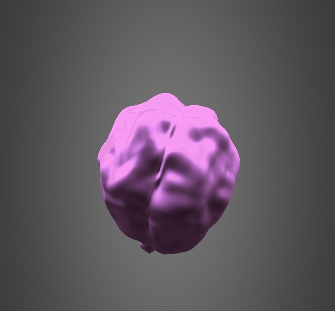 Brain model Low-poly 3D model_4