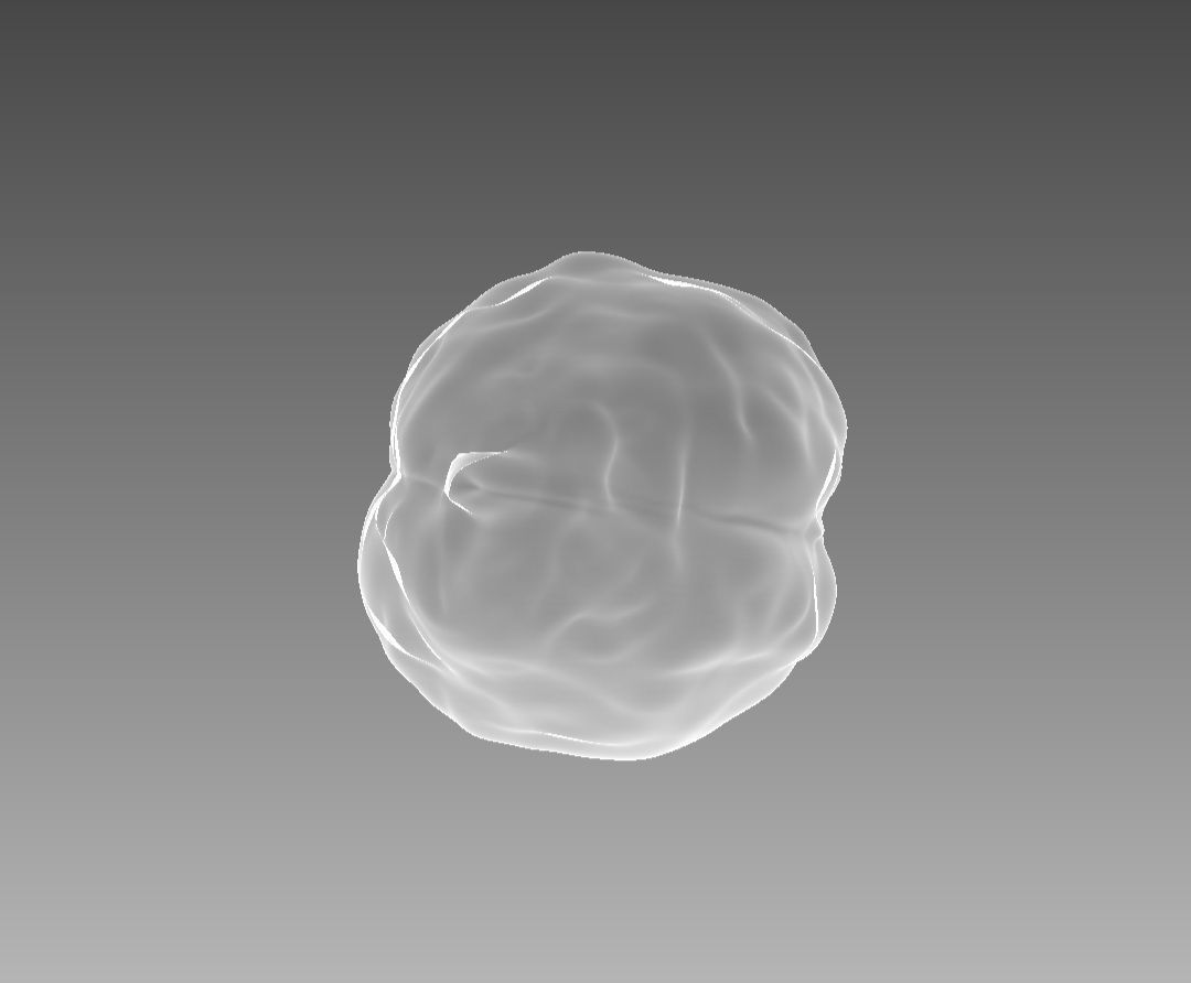 Brain model Low-poly 3D model_7