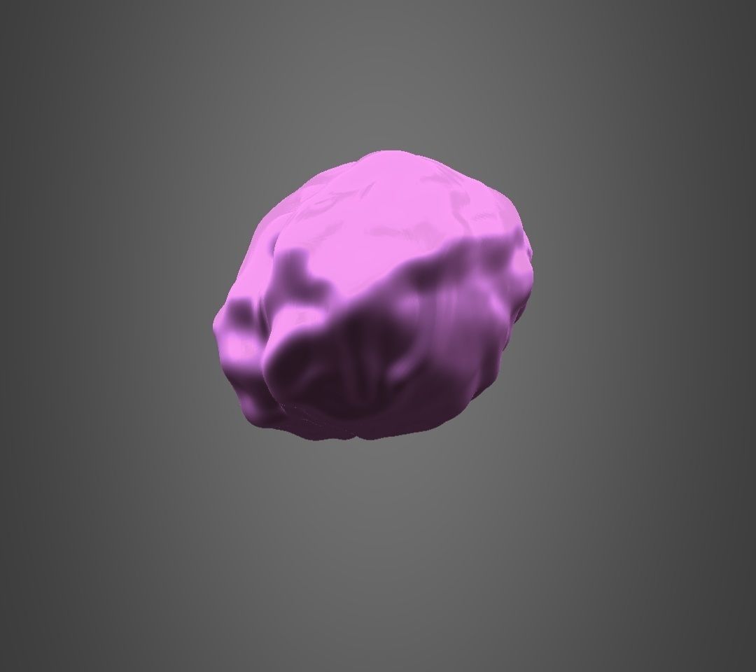 Brain model Low-poly 3D model_2