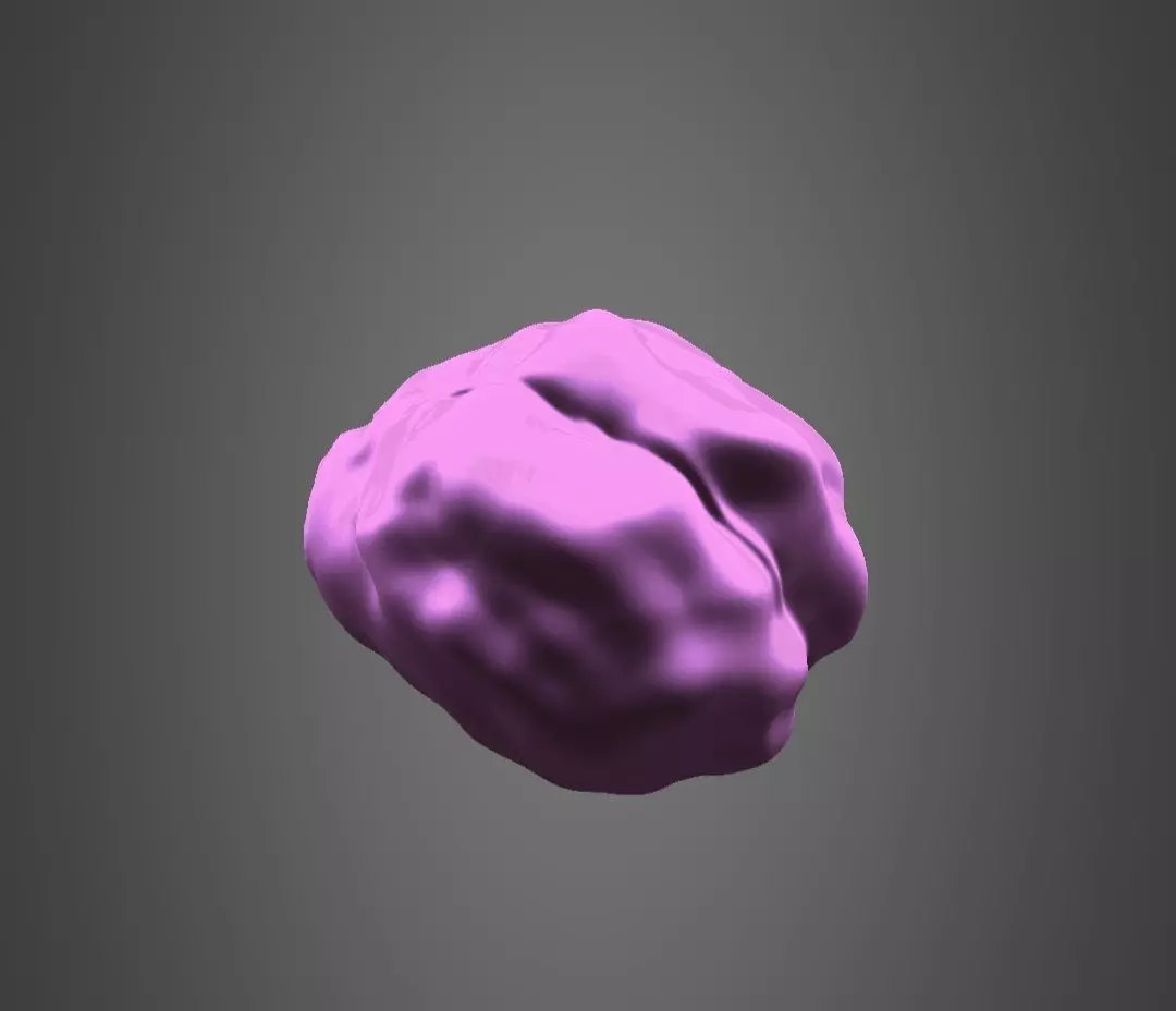 Brain model Low-poly 3D model_0