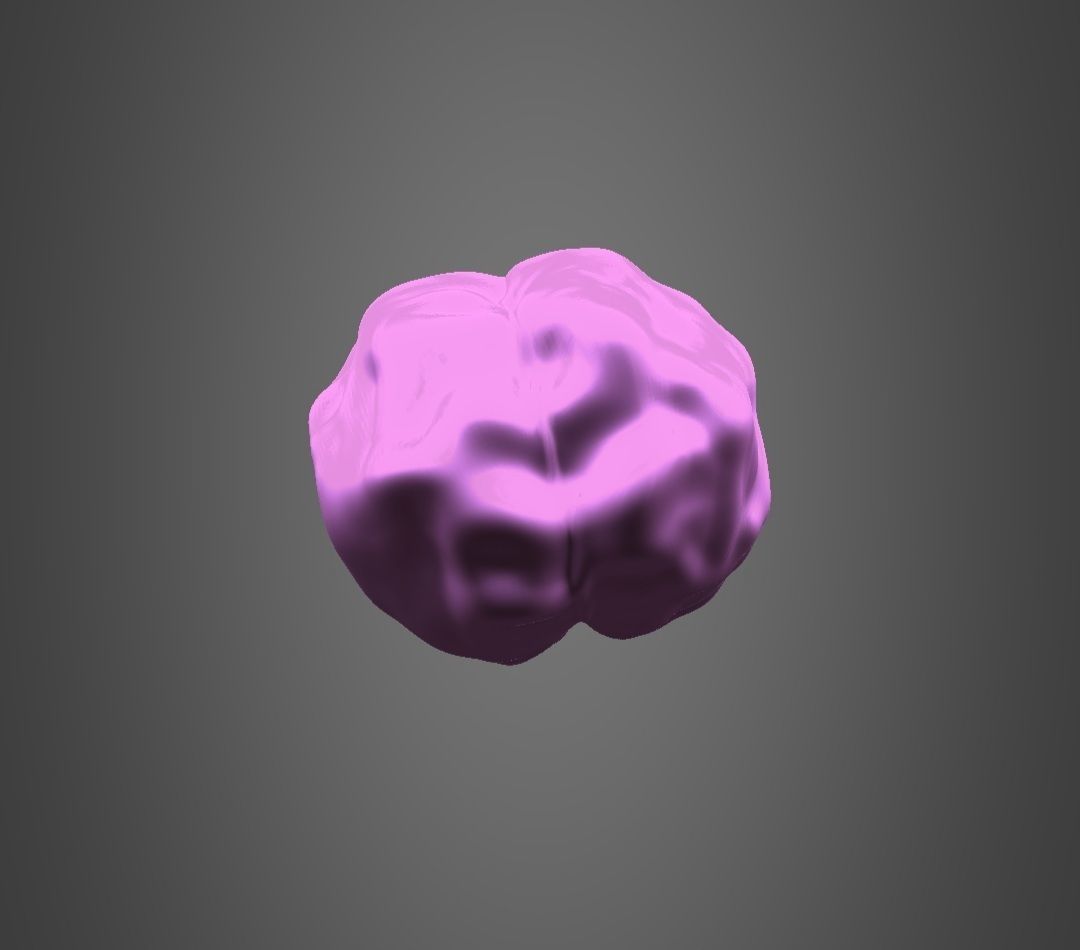 Brain model Low-poly 3D model_1