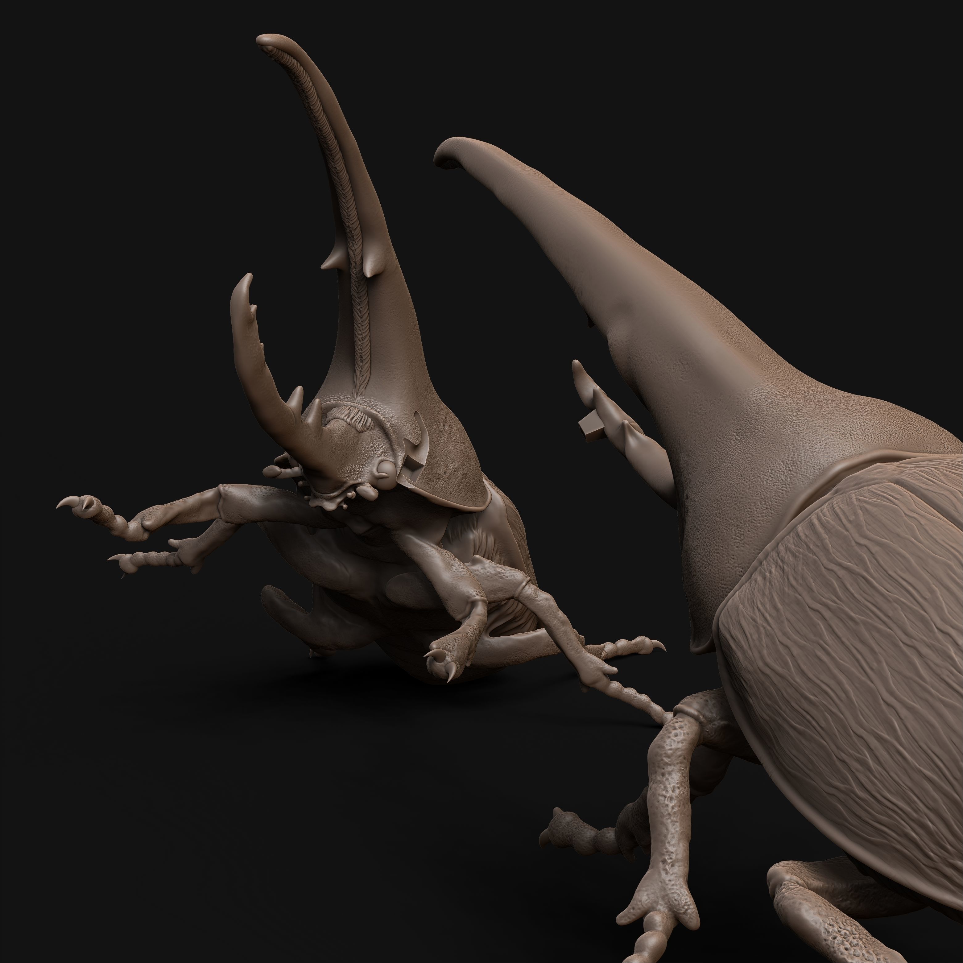 Hercules beetle fighting 1-1 scale pre-supported insect-bug 3D print model_5