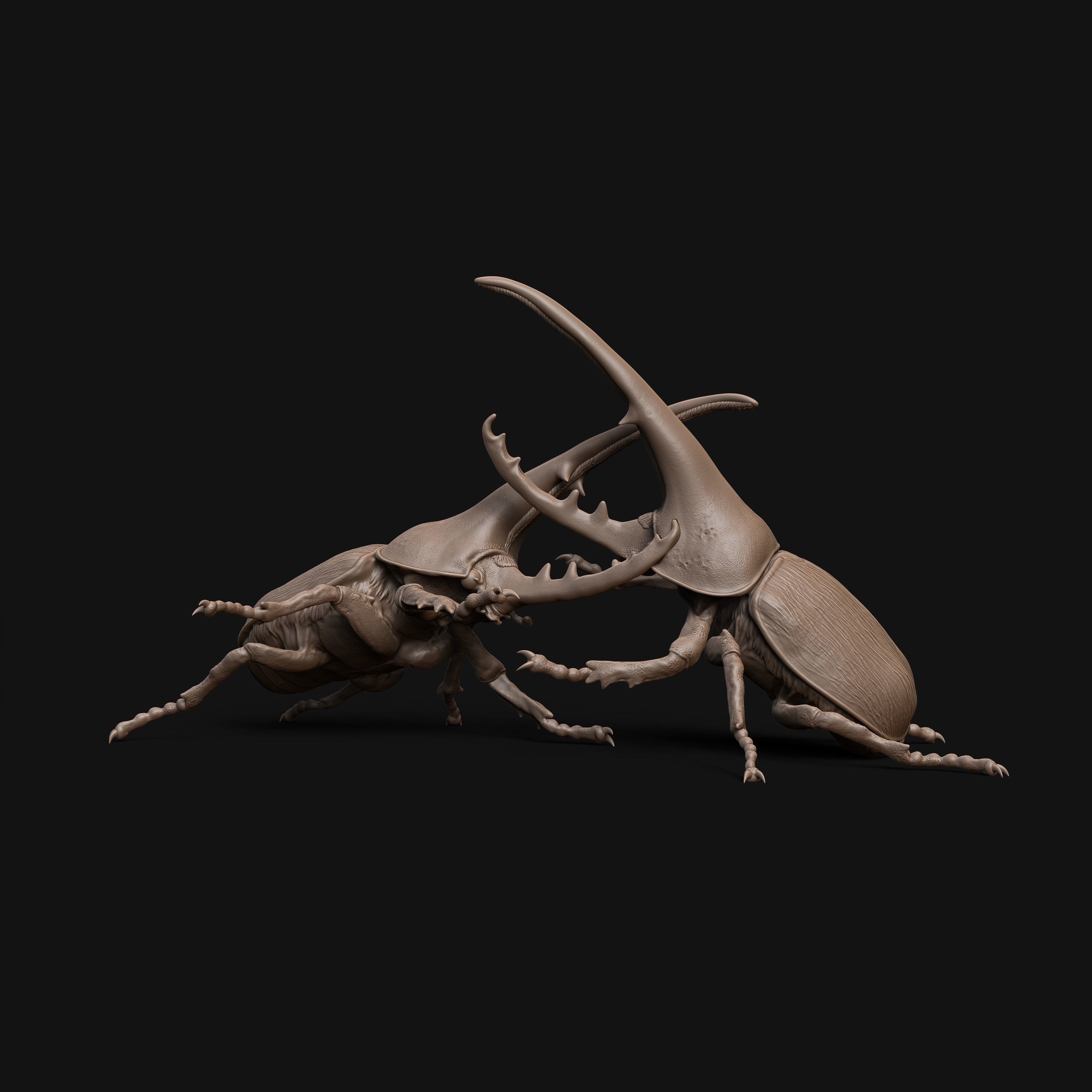 Hercules beetle fighting 1-1 scale pre-supported insect-bug 3D print model_4