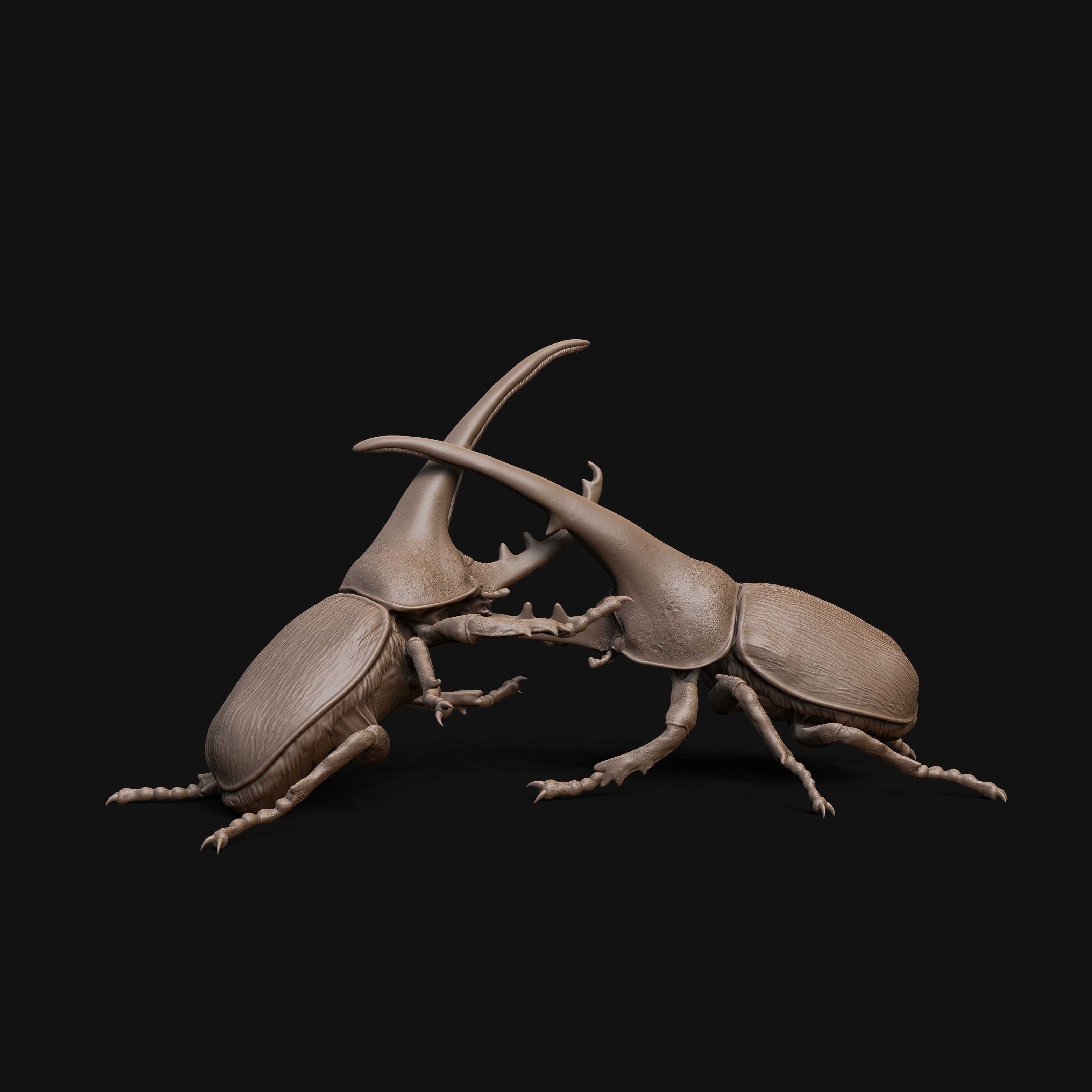 Hercules beetle fighting 1-1 scale pre-supported insect-bug 3D print model_1