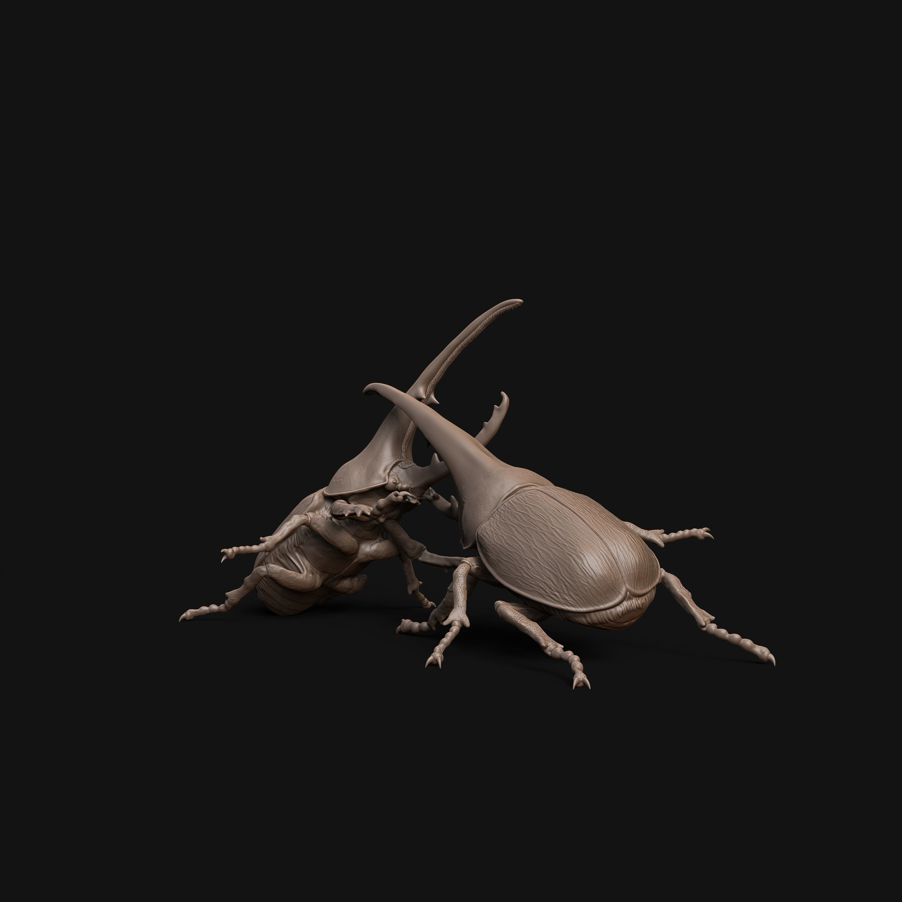 Hercules beetle fighting 1-1 scale pre-supported insect-bug 3D print model_2