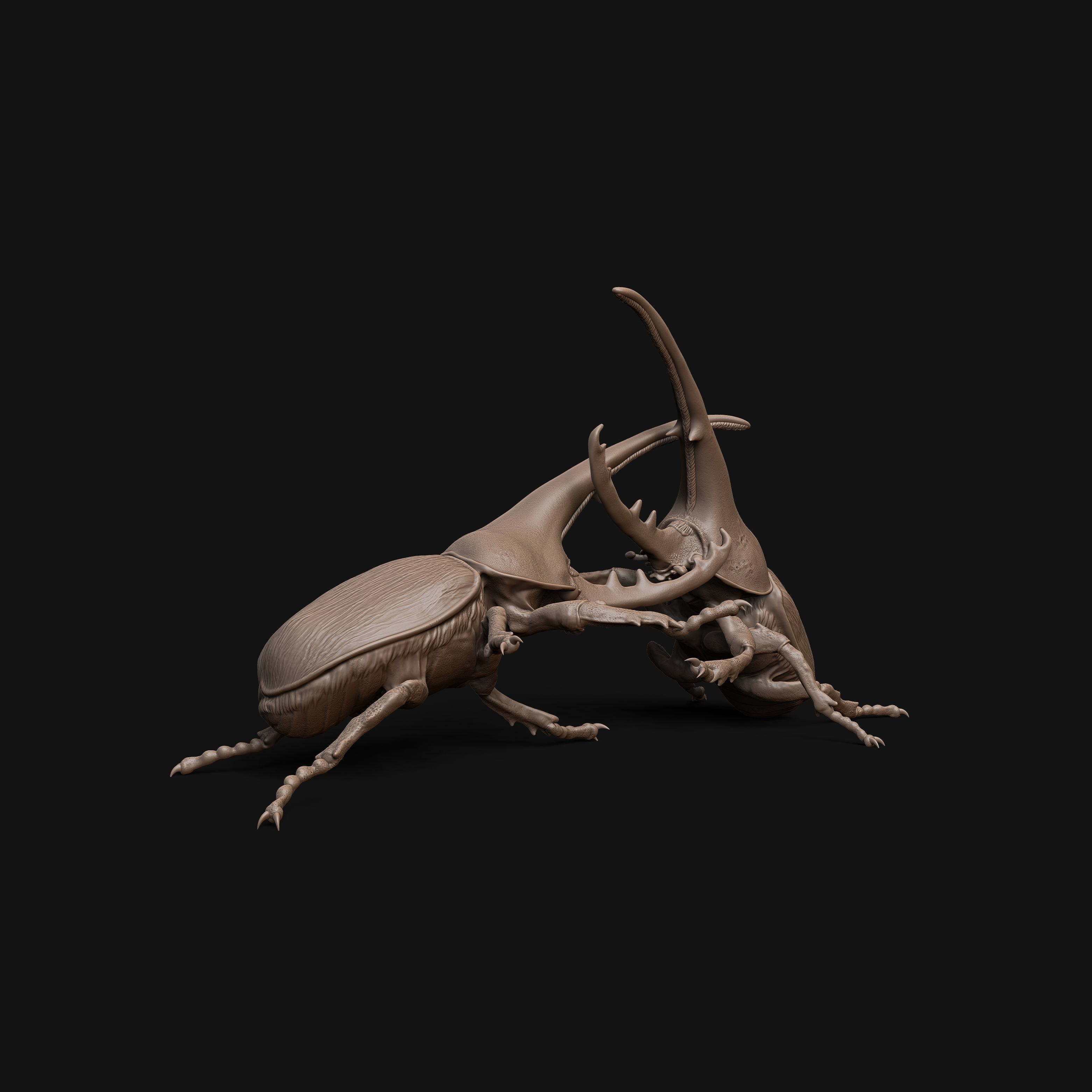 Hercules beetle fighting 1-1 scale pre-supported insect-bug 3D print model_3