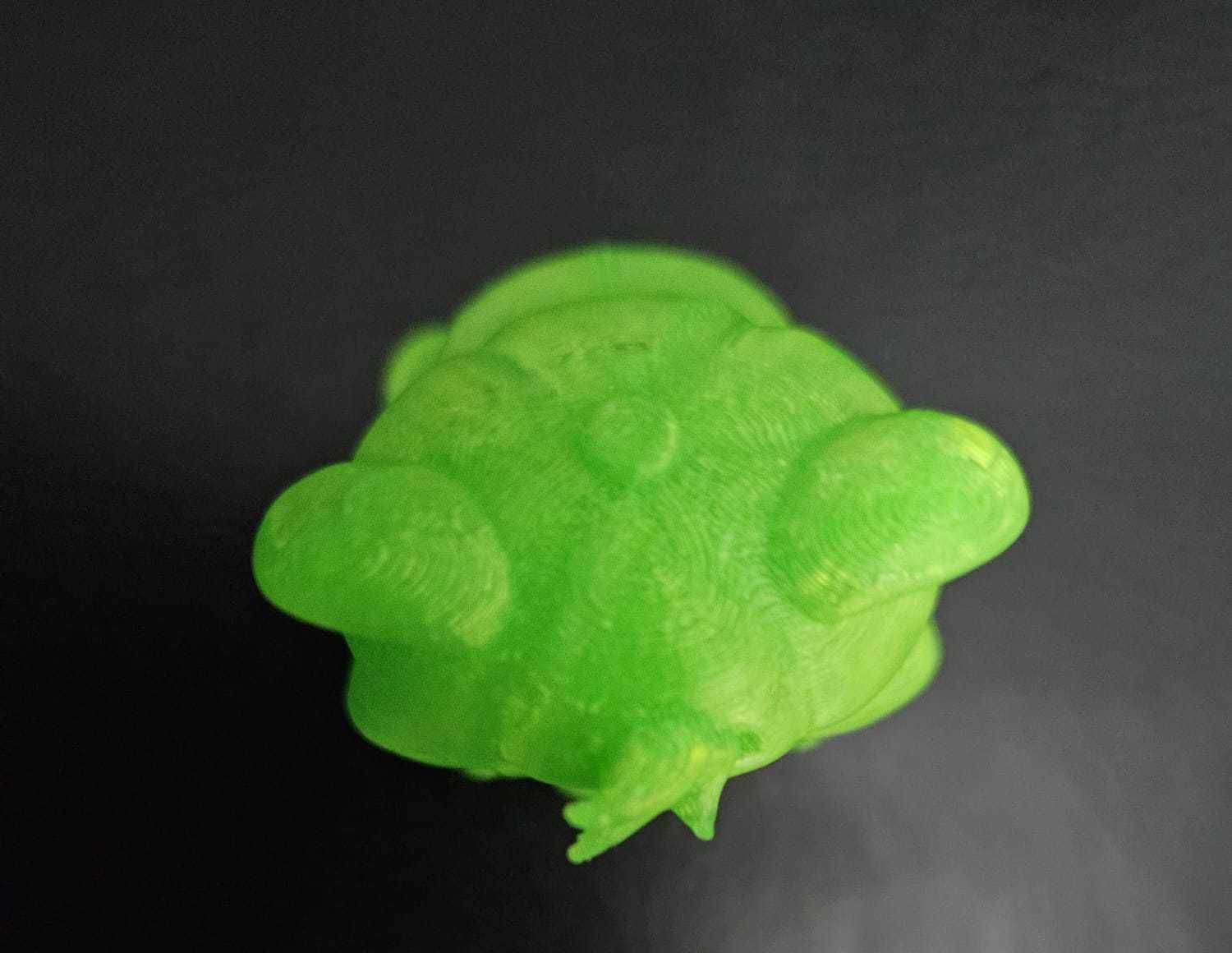 Raccoon Wearing a Cap 3D print model_17