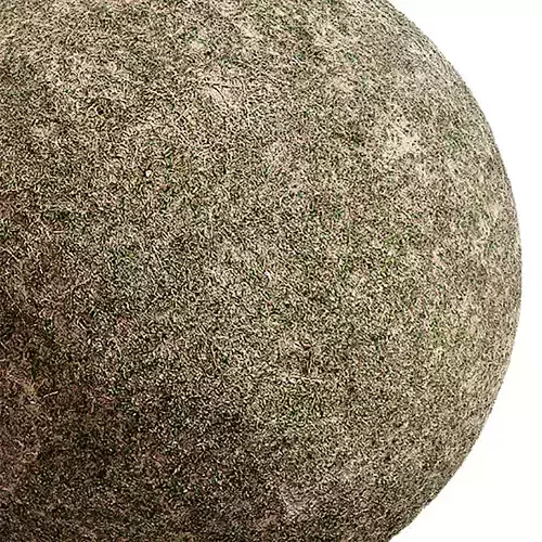 Grass Seamless Texture 2K - EXR 5 - JPG 5 Texture