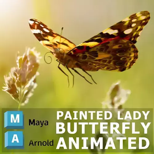 Painted Lady - Butterfly Rig - Animated 3D model