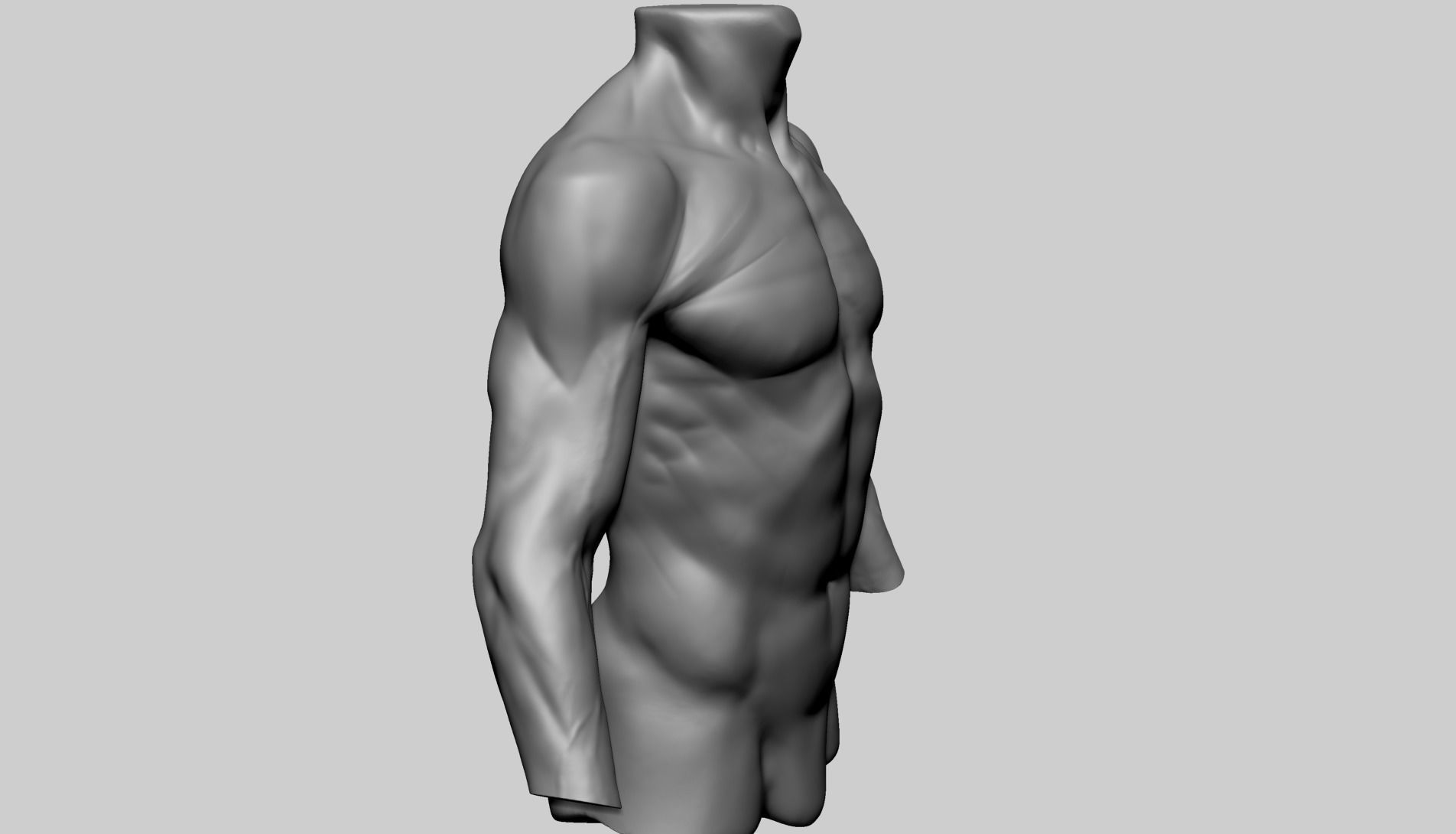 Male Torso C 3D model_2