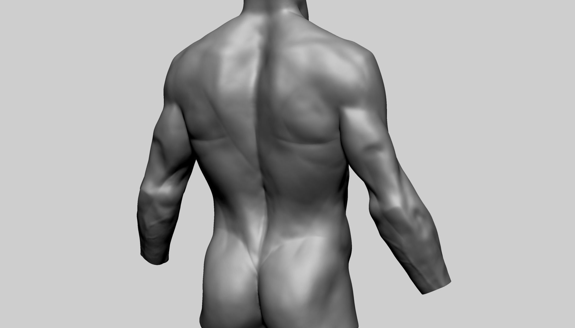Male Torso C 3D model_3