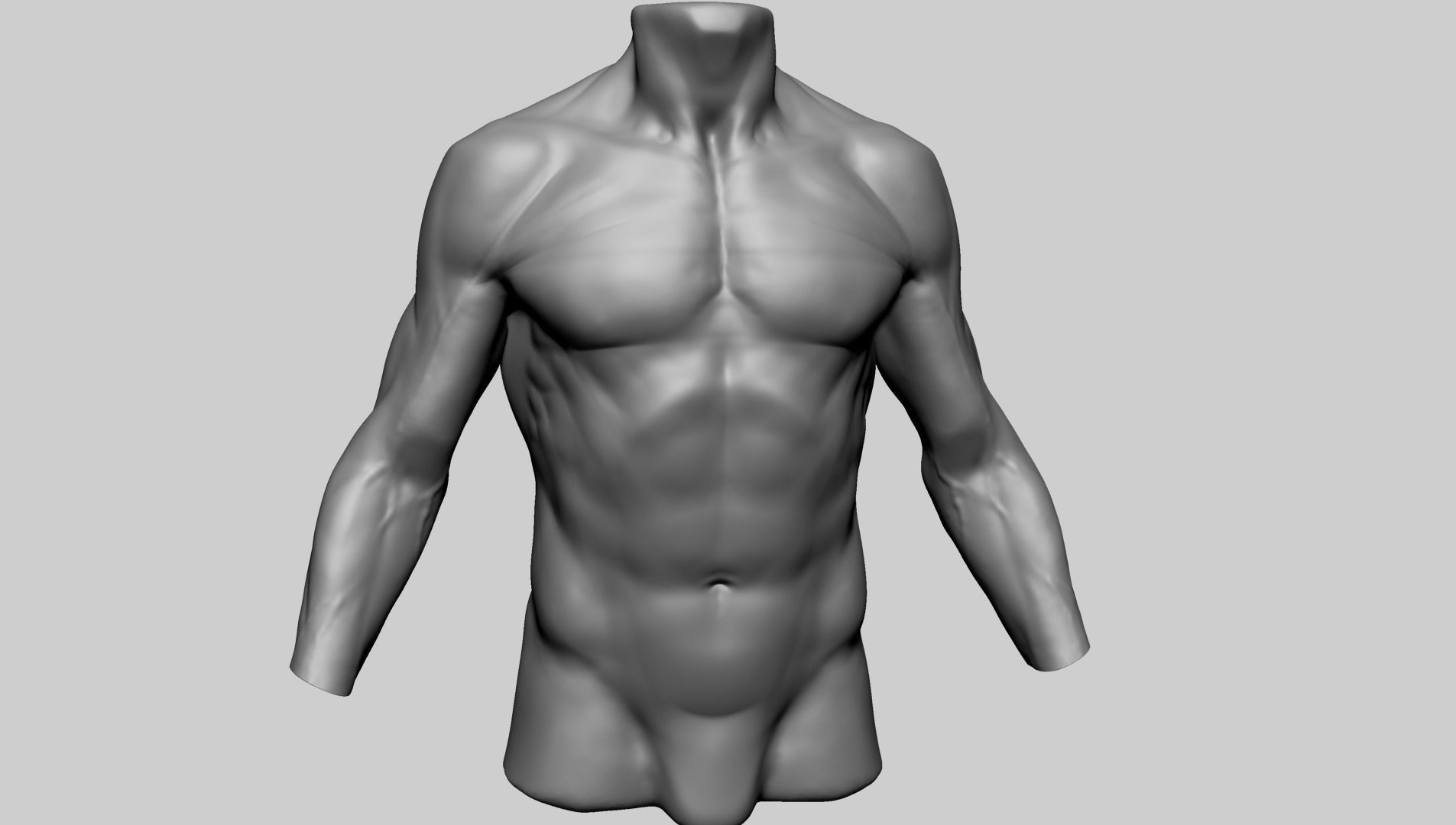 Male Torso C 3D model_1
