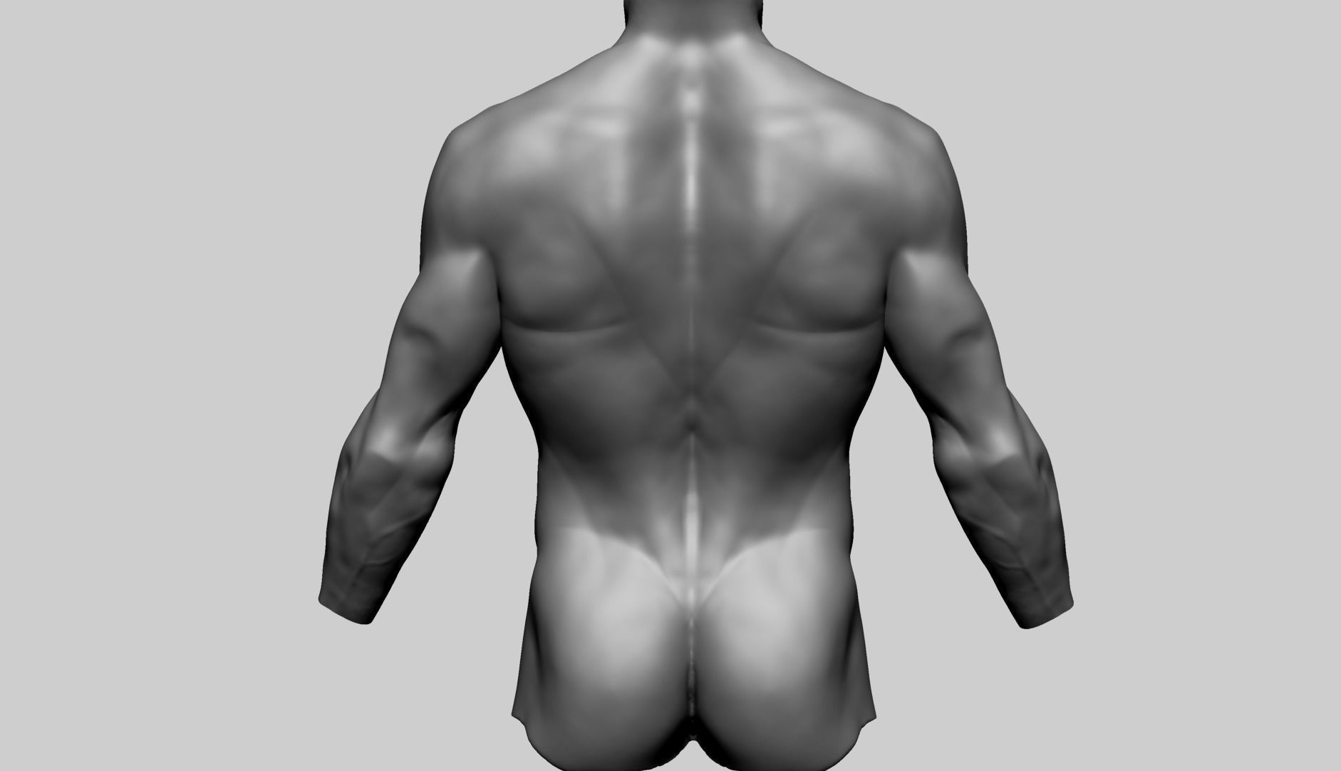 Male Torso C 3D model_4