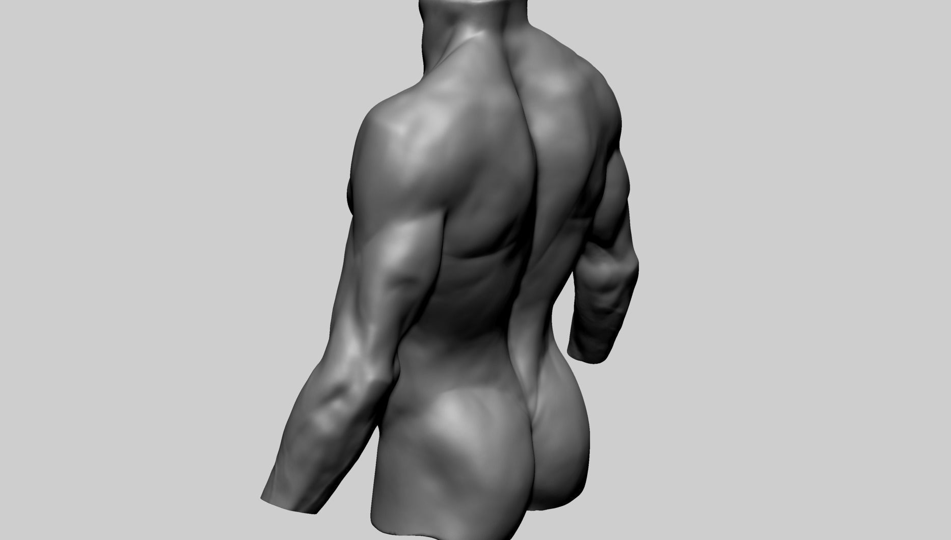 Male Torso C 3D model_5