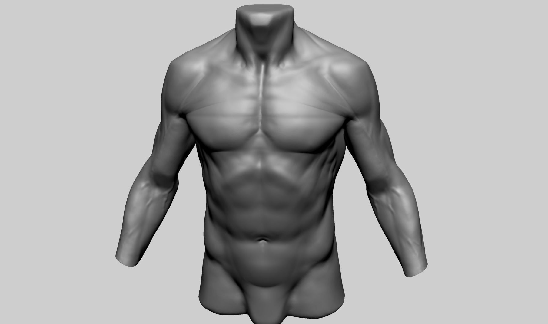 Male Torso C 3D model_6
