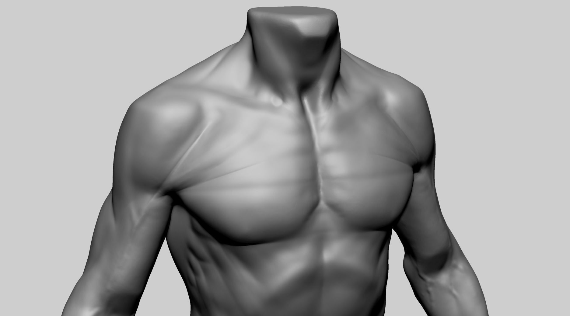 Male Torso C 3D model_7