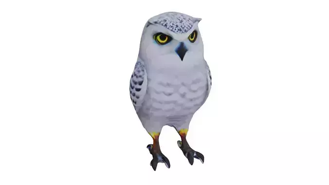 Snowy Owl Low poly