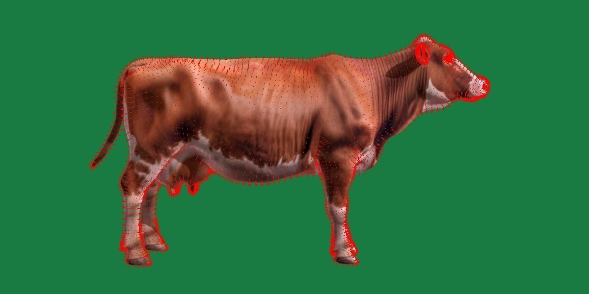 Red Angus Beef Cattle 3D model_8