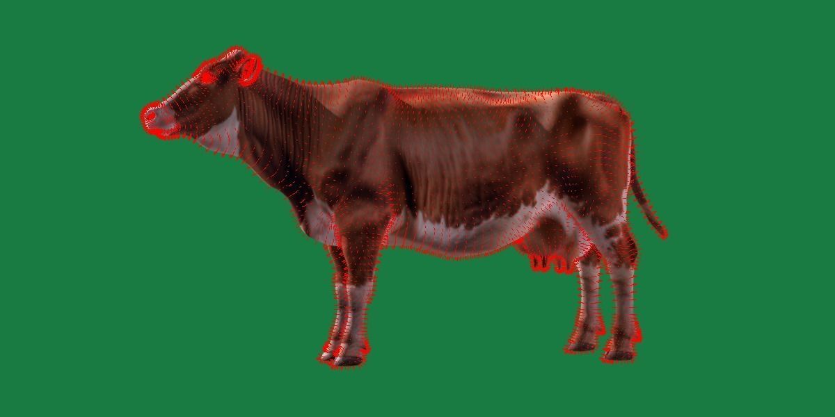 Red Angus Beef Cattle 3D model_10