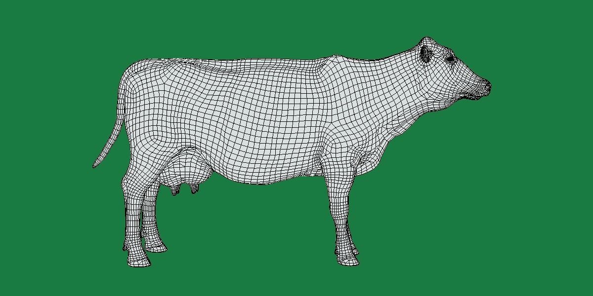 Red Angus Beef Cattle 3D model_7