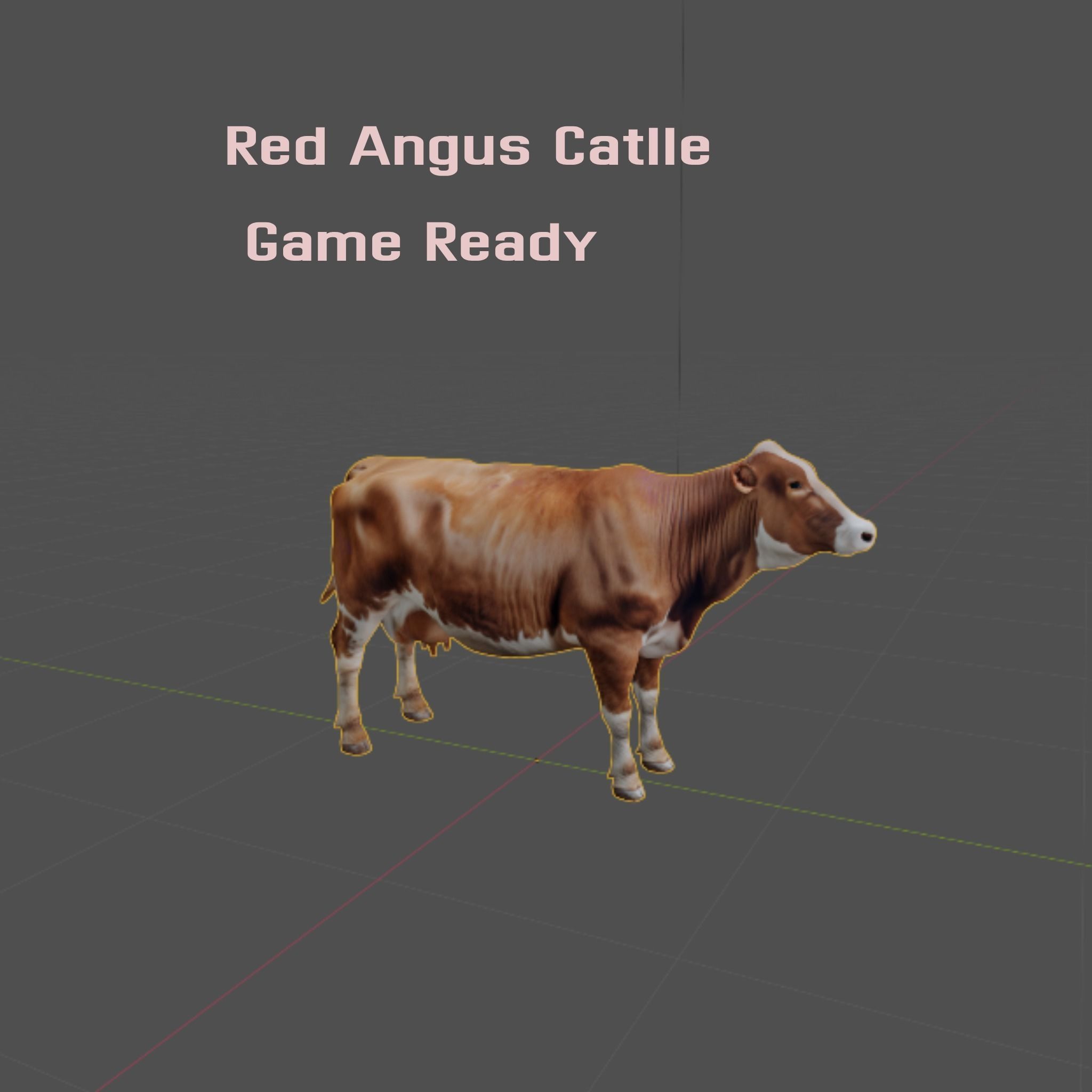 Red Angus Beef Cattle 3D model_2
