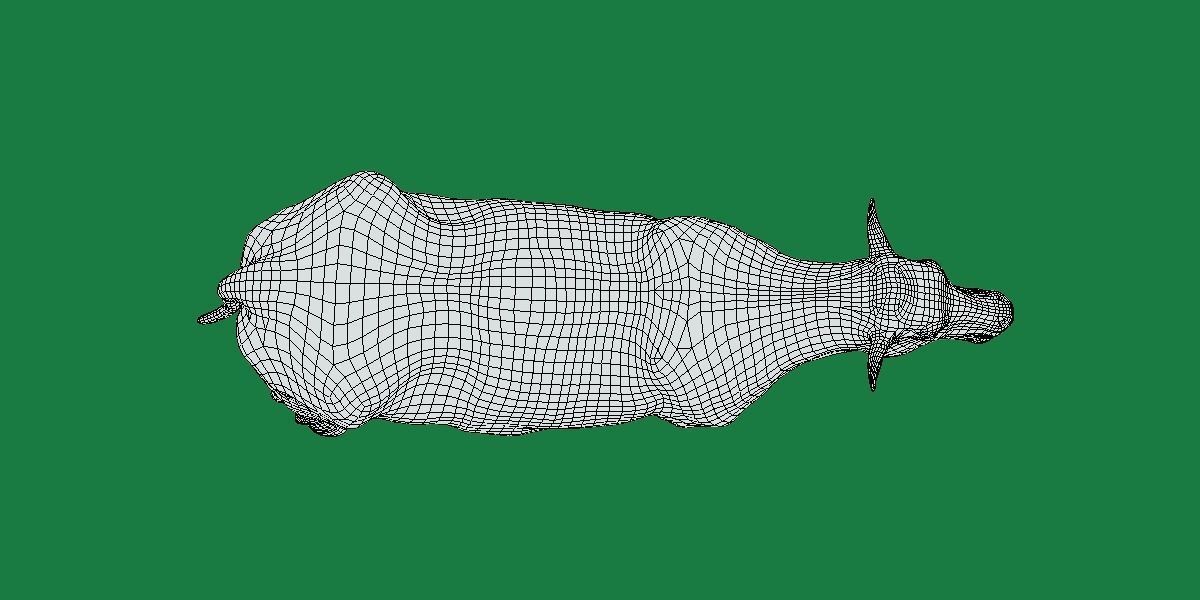 Red Angus Beef Cattle 3D model_9