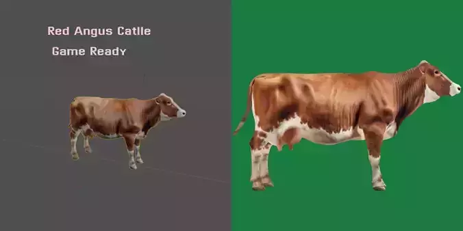 Red Angus Beef Cattle 3D model