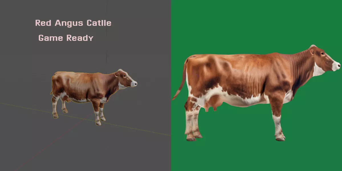 Red Angus Beef Cattle 3D model_0